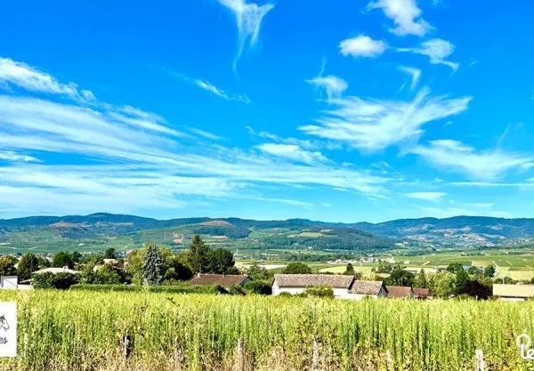 Terrain 913 m² CHEVAGNY LES CHEVRIERES