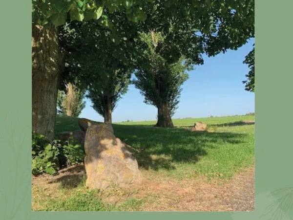 Terrain en lotissement 432 m²