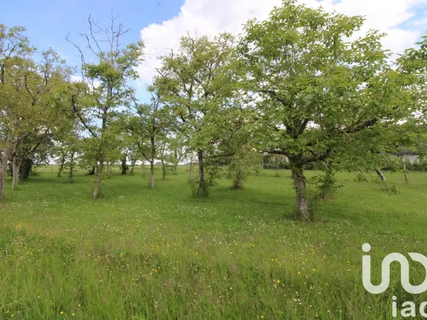 Terrain 980 m²