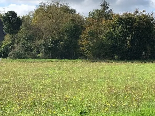 Terrain 492 m²