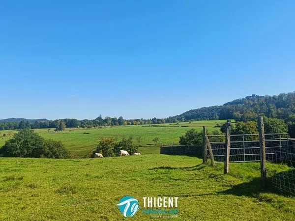 Terrain 5243 m²