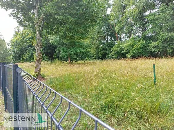 Terrain 2050 m2