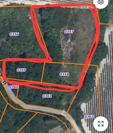 Terrain loisir plat avec chêne