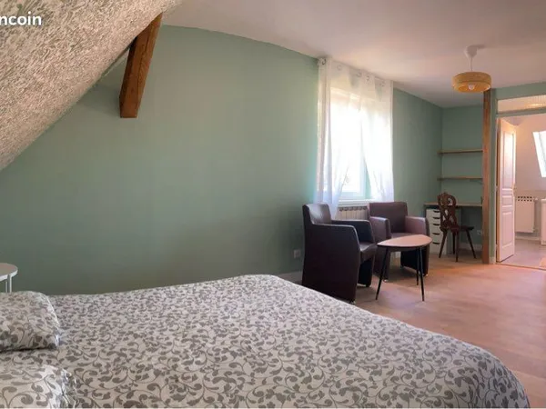 Proche hypercentre : Grande Chambre/Studio 27m2 avec sdb privée, cuisine & terrasse en co-living