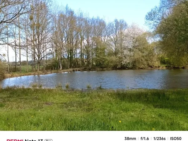 Terrain Vente Cossé-le-Vivien  3000m² 80€