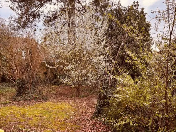 Terrain en individuel 475 m²