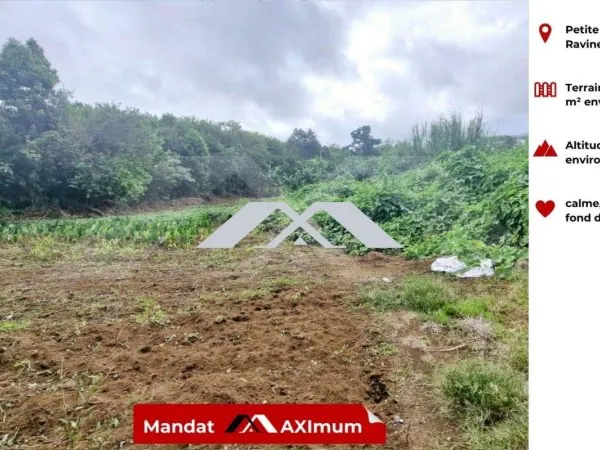 Terrain en individuel 975 m²