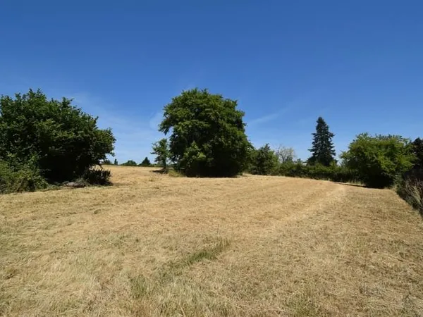 Terrain à bâtir Vente Espinasse-Vozelle  959m² 34000€