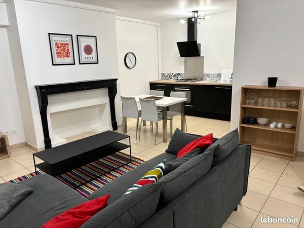 Colocation pour 2 dans charmant appartement de 80 m2 hypercentre de VIENNE