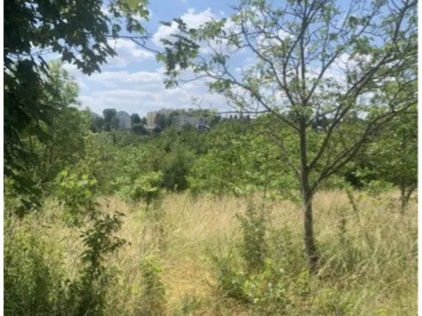 Terrain de 2500 m2 en friche avec nombreux arbres fruitiers