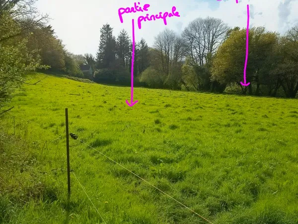 Beau terrain avec rivière - 6192 m² - ideal pour verger / animaux / loisirs - Plounéour-Ménez, Monts