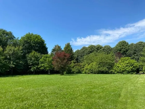 Terrain 290 m²
