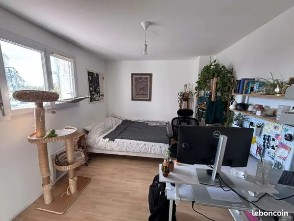 Colocation Vieux Doulon