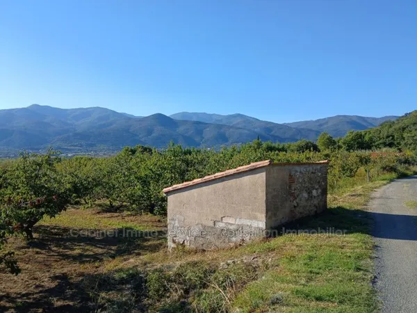 vente terrain agricole