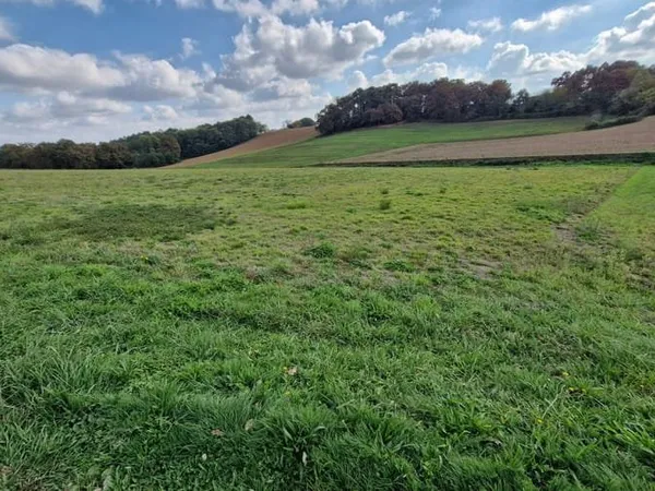 Terrain 16020 m²