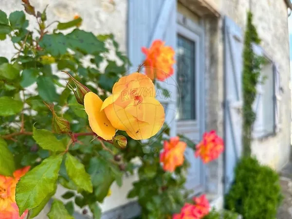 Maison 3 chambre(s) à vendre