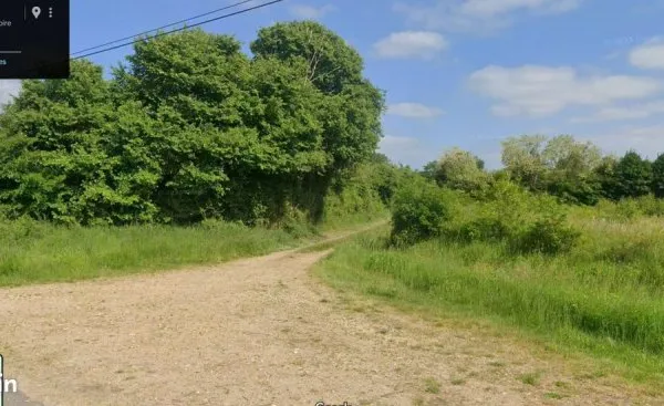 Terrain boisé