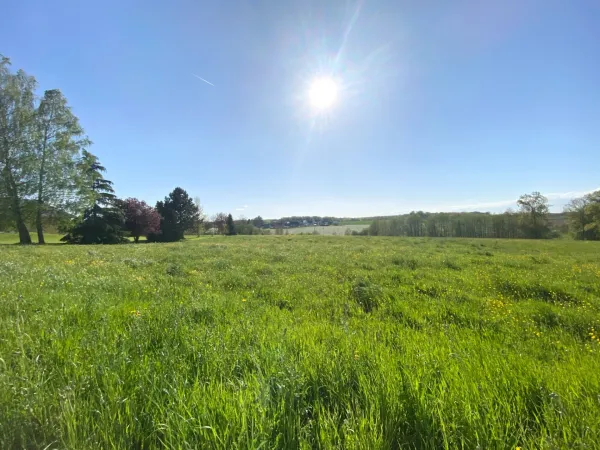 Terrain 1204 m²