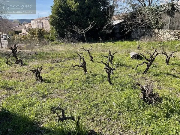 Terrain constructible