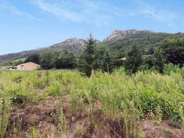 Terrain 1130 m²