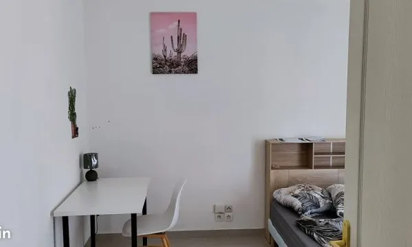 Grande chambre en coloc dispo dès 1er Mai