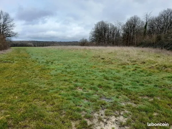 Terrain agricole