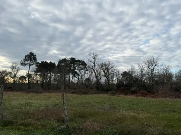Terrain 800 m²