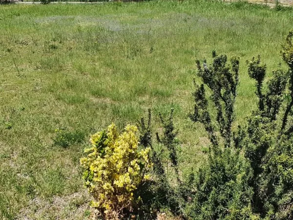 Terrain 480 m²