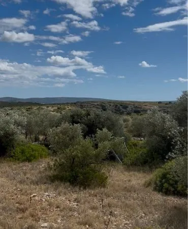 Terrain de loisirs