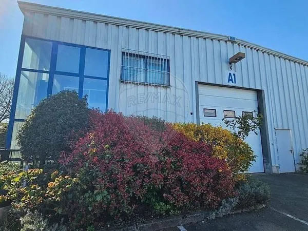 Local 1 pièce 584 m²