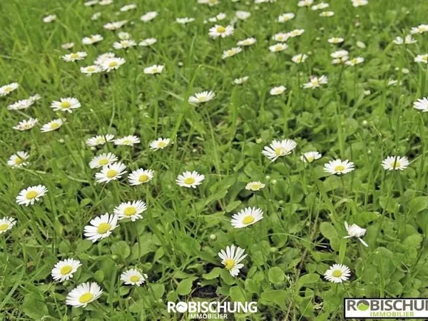 RIESPACH : Terrain hors lotissement