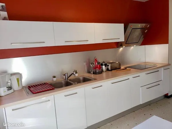 Super appartement entièrement refait Lyon 4
