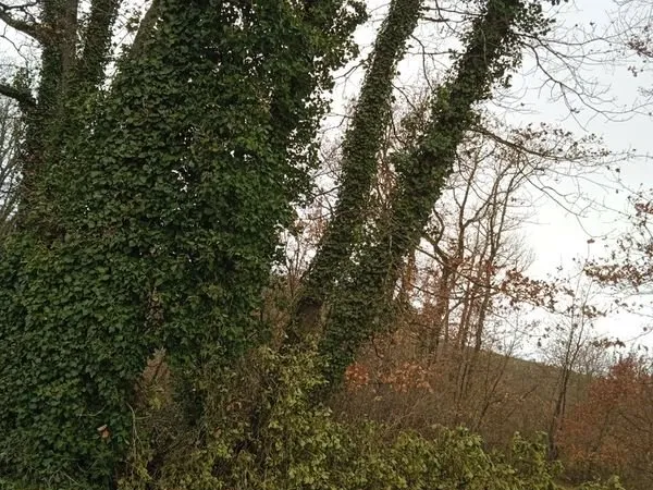 Urgent terrain non inondable acces