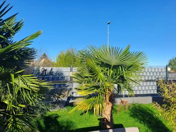 Maison 6 pièces 158 m²