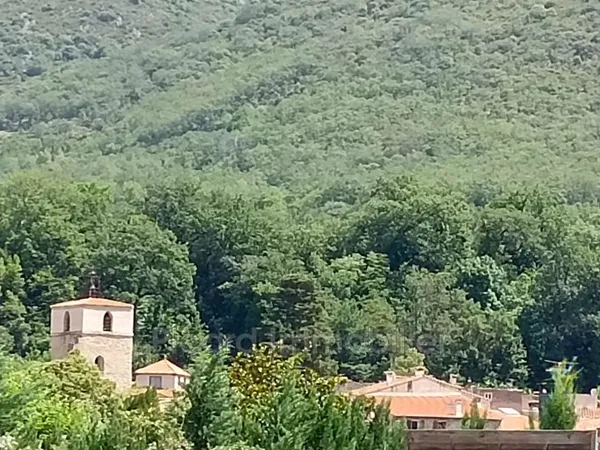vente terrain