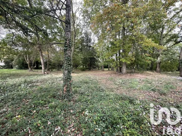 Terrain 1181 m²