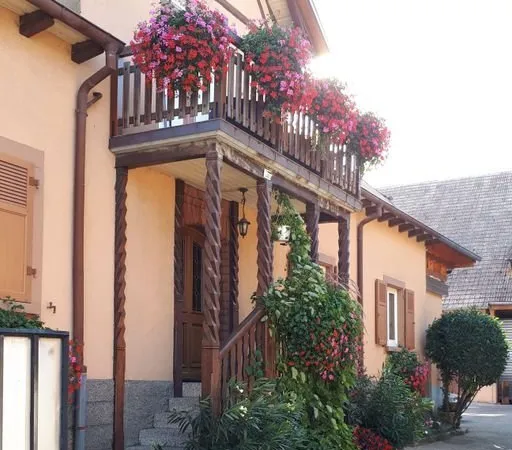 Appartement de 260m2 à louer sur Stotzheim