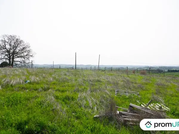 Investissez dans l'agrivoltaïsme