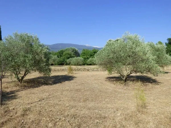 Terrain constructible 1800 m²