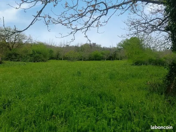 Terrain 1 600 m² Salignac Eyvigues