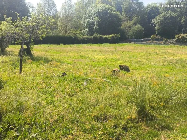 Terrain 1 250 m² Nercillac