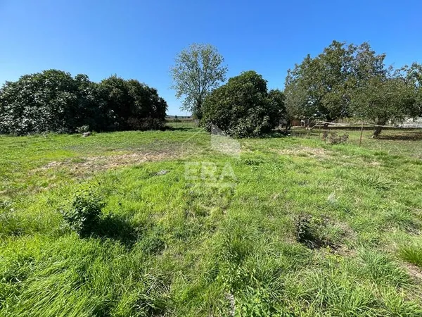 Terrain contructible Camalès 1157 m2