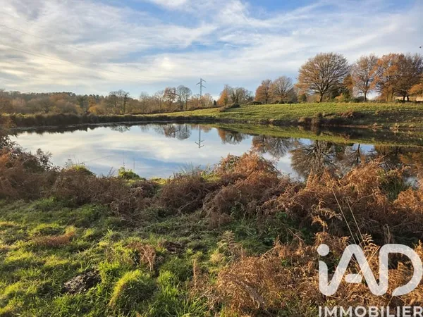 Terrain 41275 m²