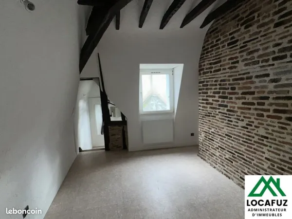 Charmant T2 avec poutres apparentes- [Tours/ Quartier Cathédrale]-25,28 m2