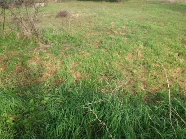 Terrain 420 m²