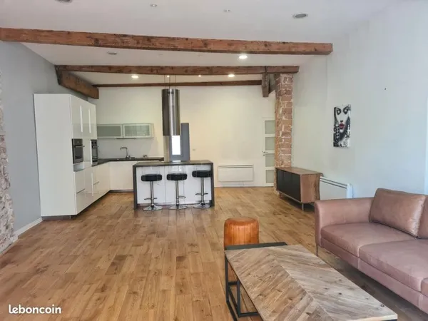 Hyper centre rue de lionne 101m²