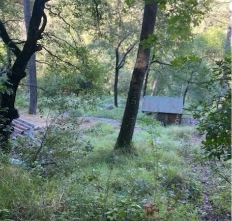 Terrain / Forêt