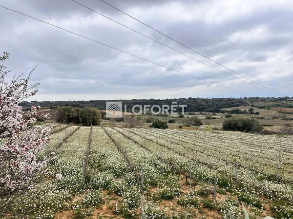 Terrain 11190 m²