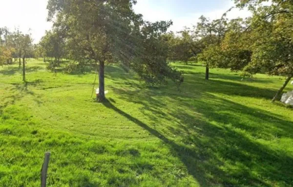 Terrain 1155 m²