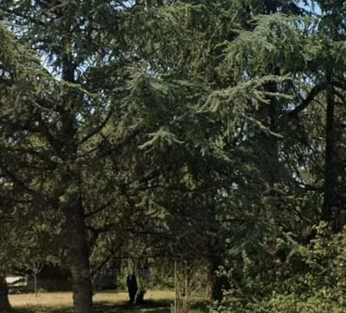 Terrain de 530 m² - Pernes les Fontaines